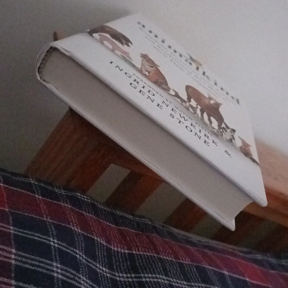 Book - Picture 3 of 6
